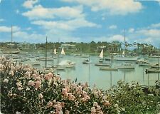 Wychmere Harbor Cape Cod Harwichport Massachusetts Giant Postcard  picture