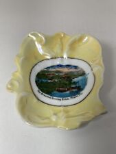1920’s Beautiful Deering Estate Miami Fla Yellow Souvenir China Pin Tray Germany picture