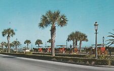 Vintage Postcard St. Augustine Florida Bay Front Photograph Unposted Beach Trees picture