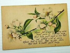 Vintage Postcard 1917 Here's just a word to say we've heard you're ill. Flower picture