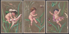 THREE different babies catching insects trade cards 1880s wasp bees buttertly &c picture
