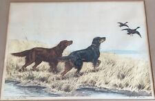 Vint. English Irish Setter Hunting Ducks Signed Etching Listed Artist Paul Wood picture