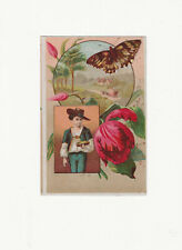 VTG 1894 Lion Coffee Woolson Spice Co. Toledo Ohio Trade Card Butterfly Flower picture
