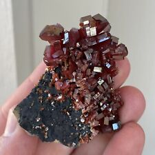 Rare 2.2” Red Gem Vanadinite w/ Goethite Crystal Cluster 45g - Morocco picture