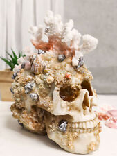 Marine Sea Explorer The Great Barrier Coral Reef Shells And Rocks Skull Figurine picture