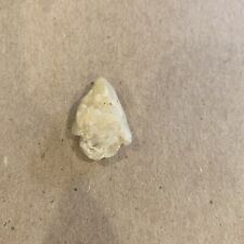 Authentic North Carolina Arrowhead NC Artifact PERSONAL FIND picture