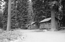 Cabins at Lake of the Woods Resort Oregon 1950s view OLD PHOTO 2 picture