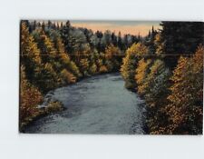 Postcard Nature River Scene picture