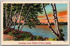 West Upton Massachusetts 1940s Greetings Postcard Birch Trees Lake picture