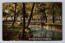Harrisburg PA-Pennsylvania, Grove in Paxtang Park, c1908 Vintage Postcard picture