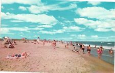 Chincoteague-Assateague Beach Vintage Postcard Unposted C1950 picture