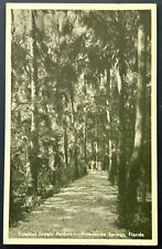 Tropical Jungle Pothway Homosassa Springs. Florida Vintage Postcard. FL picture