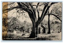 The Webster Elm And Daniel Webster Birthplace Franklin New Hampshire NH Postcard picture