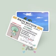 SpongeBob - Squidward Driver License Printed PVC Custom Card Fun Gag Gift picture