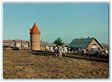 c1950's The Pasture of the Milch Cows Kijima Heights Beppu Japan Postcard picture