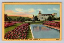 Harrisburg PA-Pennsylvania, Municipal Rose Gardens, Antique, Vintage Postcard picture