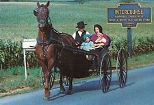 Intercourse PA Pennsylvania, Horse Carriage, Amish Family, Vintage Postcard picture