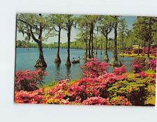 Postcard Greenfield Gardens, Wilmington, North Carolina picture