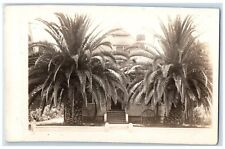 c1910's Victorian East Lake House Palm Trees CA RPPC Residence Photo Postcard picture
