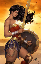Wonder Woman 11x17 Bruce Wayne POSTER DCU DC Comics Superman Catwoman Diana picture