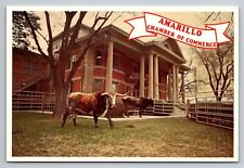 Chamber Of Commerce Amarillo Texas Vintage Unposted Postcard picture