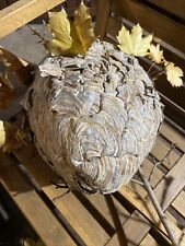 REAL WASP NEST picture