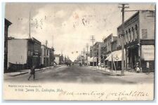 1907 James Street Road Buildings Stores Ludington Michigan MI Vintage Postcard picture