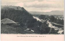 Elmira NY Chemung River Rorick's Glen Fine German Monochrome 1910  picture