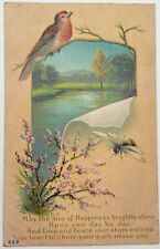 Antique Postcard Bird Bee Water Scene c1913 picture