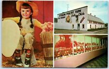 Postcard It's a Peep Show Chick Museum Michigan USA North America picture