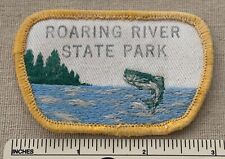 Vintage ROATING RIVER STATE PARK Travel Souvenir PATCH Fishing Boating Camp Hike picture