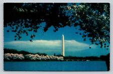 Washington Monument Through Cherry Trees Vintage Postcard 0923 picture