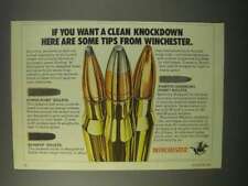 1981 Winchester Bullets Ad - Want a Clean Knockdown picture