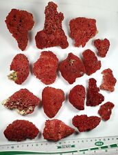 Natural Red Coral Specimens with nice color & formation. 16 pieces lot picture
