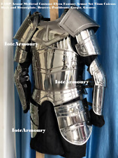 Medieval LARP Armor Costume Elven Fantasy Armor Set Titan Cuirass Back & Breastp picture