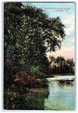 1909 Scene On White River Reflection Groves  Muncie Indiana IN Posted Postcard picture