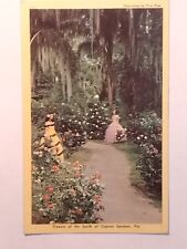 Flowers Of The South At Cypress Gardens Florida Postcard picture