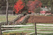 Old Sturbridge Village Massachusetts, Pliny Freeman Farm Fall, Vintage Postcard picture