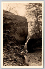 Lazy Stream Passing Through Wooded Trail RPPC Real Photo Postcard picture