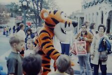 c1960s-70s Disneyland Tigger & Children Family Vintage Candid 35mm Slide picture