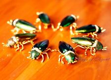 12 Pcs Real Iridescent Green Jewel Elytra Beetle Rhinestone Lady Vintage Brooch picture