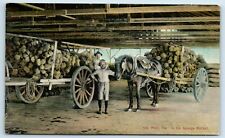Postcard Key West, Florida in the Sponge Market wagons horse A192 picture