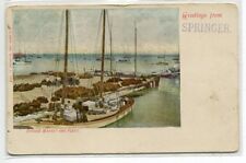 Sponge Market & Fleet Florida 1908 postcard picture