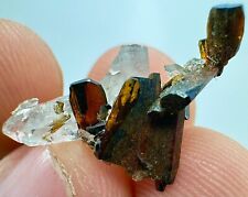 7.70 Carat Unique Shaped Well Terminated Red Brookite Crystals on Quartz @PAK picture