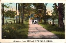 C.1920s Greetings From Cedar Springs Motor Car Dirt Road Michigan Postcard A411 picture