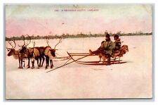 A Reindeer Outfit Lapland Finland ~ Sled team Sami Lappefamilie picture