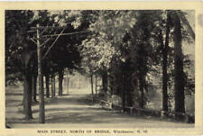 Winchester,NH Main Street North Of Bridge Cheshire County New Hampshire Postcard picture