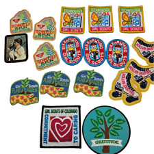Lot of 18 Girl Scout Patches Technology Bike Riding Roller Skate Gratitude Etc picture