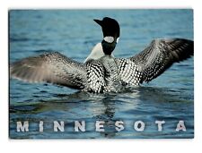 Minnesota State Bird Common Loon Vintage Postcard - Stunning Waterfowl Image picture
