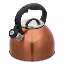 Stainless Steel Tea Kettle Copper picture